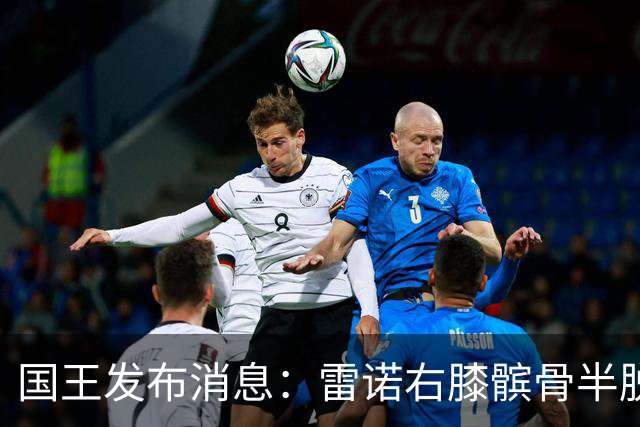 国王发布消息：雷诺右膝髌骨半脱位，预计两周后再评估伤情